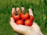Tajemství biozahradničení a biopěstování – odměnou vám budou zdravé a chutné plody