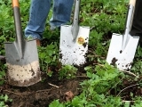 Guerilla Gardening – partyzánské zahradničení nejlépe potají a v noci