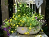 9 tipů, jak na zahradě využít staré plechové kbelíky, konve a další nádoby