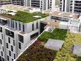 Zelená střecha – oáza, na kterou můžete získat i dotaci