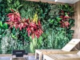 Zelené stěny z umělých rostlin jsou vhodné do interiéru i exteriéru